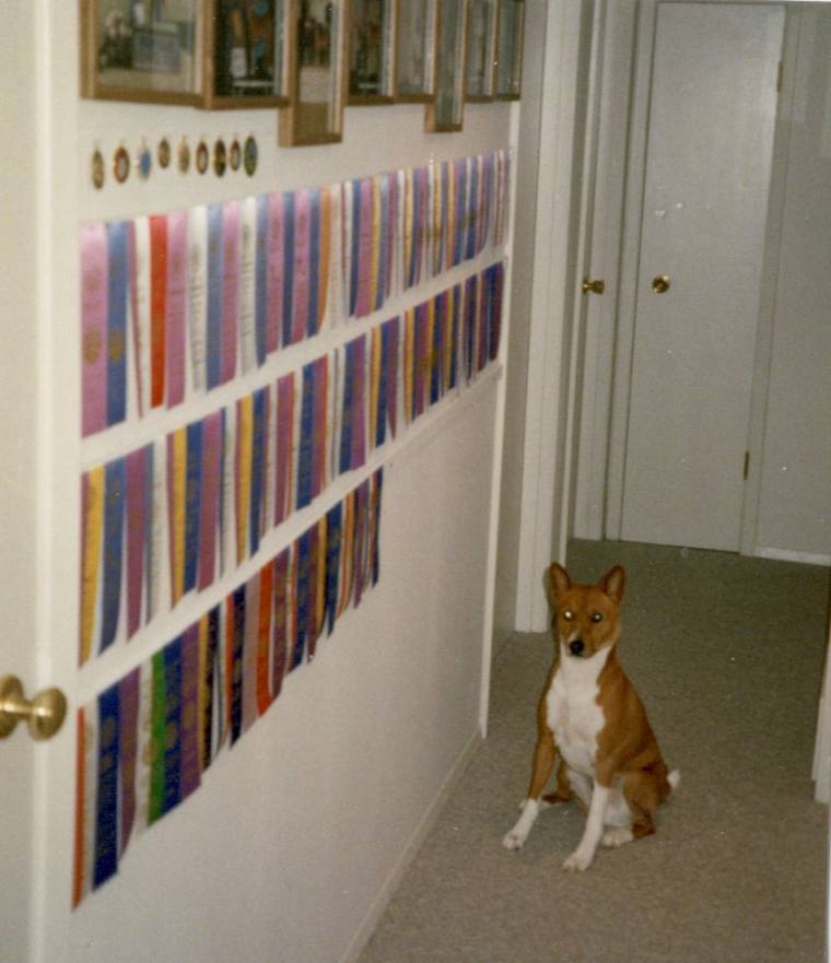 0_1542582835057_Koa and his awards.jpg