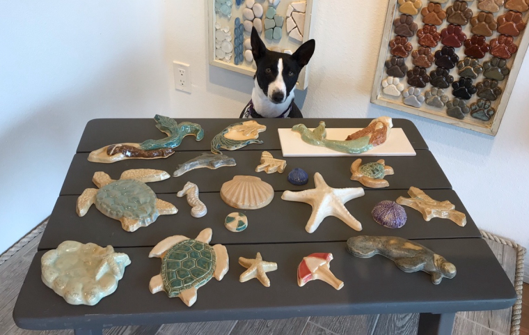 0_1605492712227_BINTI sells sea shells.jpg