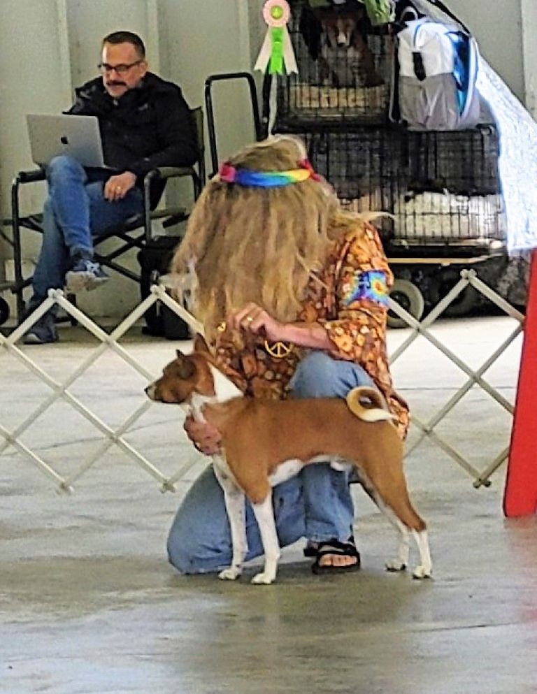 Woofstock.jpg