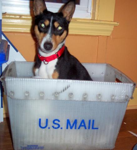 attachment_p_123116_0_sophia-mailbox.jpg