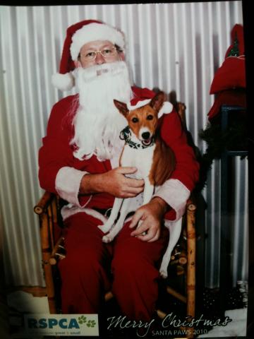 attachment_p_125627_0_santa1.jpg