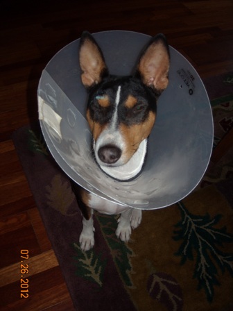 attachment_p_160720_0_the-cone-001a.jpg