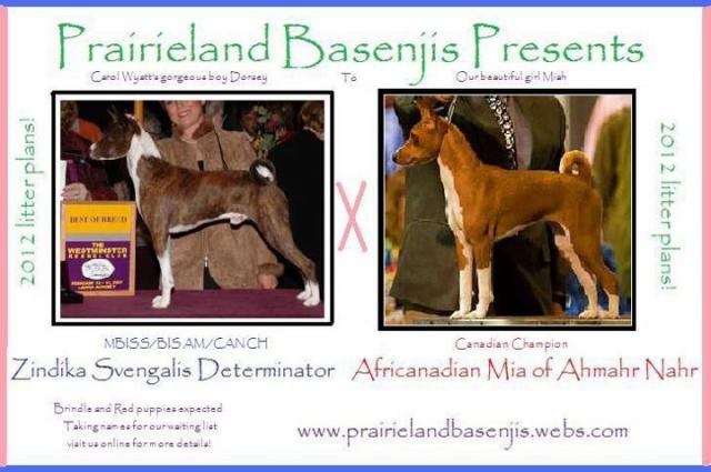 attachment_p_161086_0_breedingplans.jpg