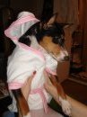 attachment_p_49125_2_cute-kiro-in-robe.jpg