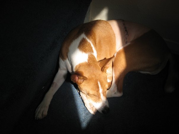 attachment_p_68733_0_nicky-sunning.jpg