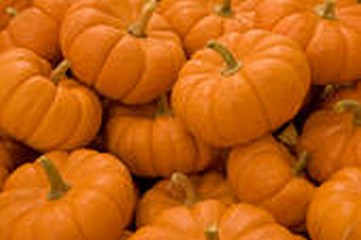 attachment_p_94881_1_short-pumpkins2.jpg