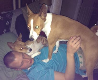 attachment_t_15611_0_basenji-life.jpg