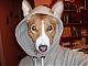 Lucythebasenji