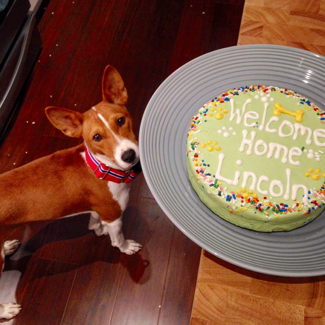 0_1504558461571_Welcome Home cake 9-2-17.JPG